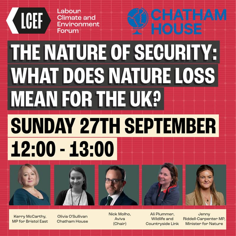 Cover Image for The Nature of Security: What Does Nature Loss Mean for the UK?