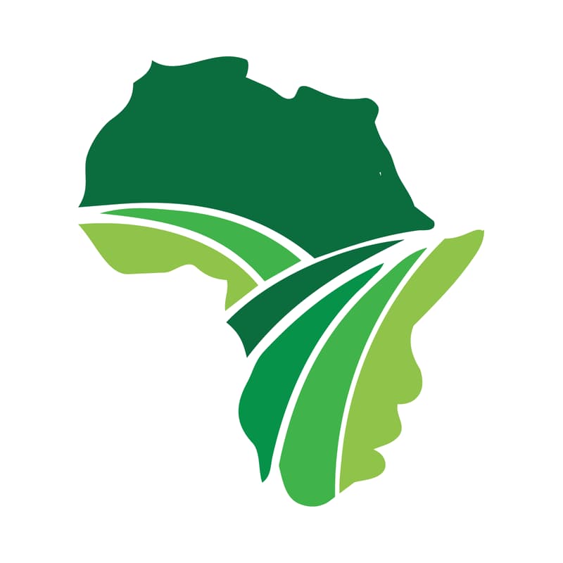 Cover Image for From Price-Taker to Producer: Africa in the Global Solar Value Chain