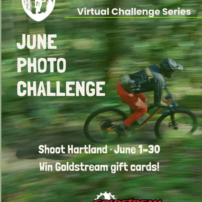 Cover Image for SIMBS June Photo Challenge