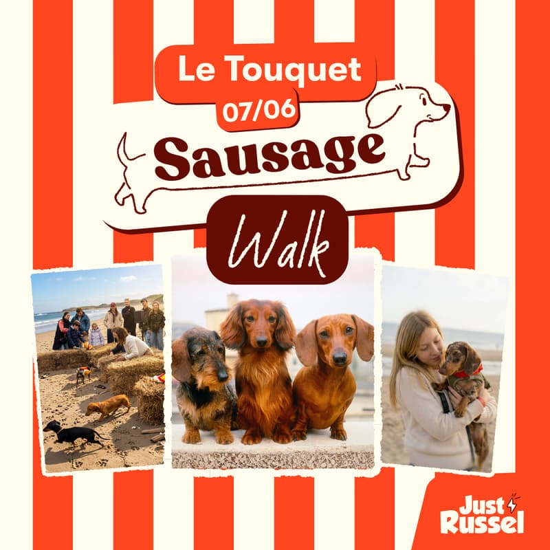 Cover Image for Le Touquet Sausage Walk 🐾