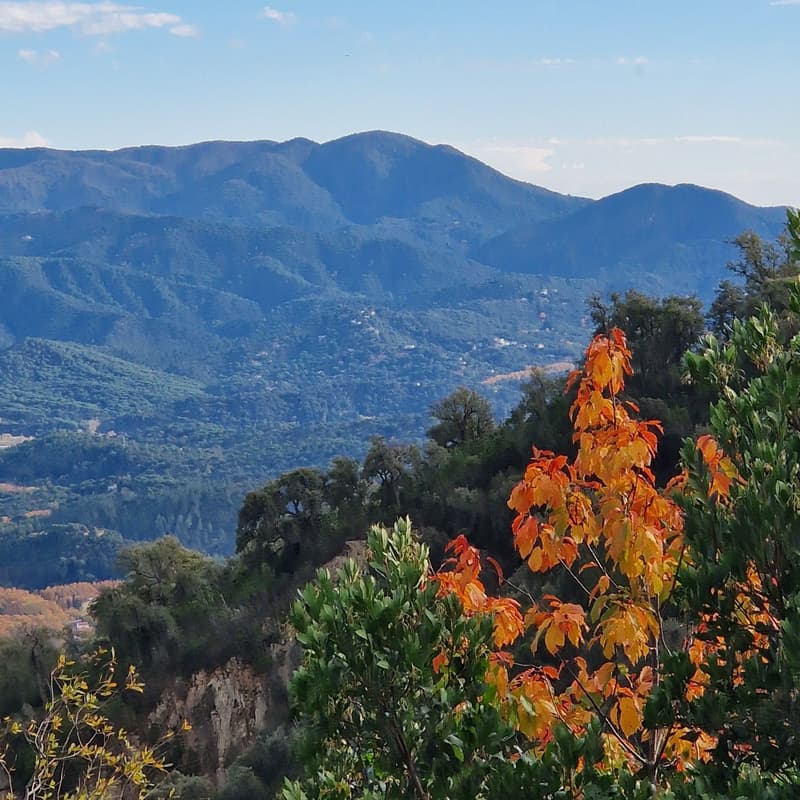 Cover Image for [Free women-only hike]: 🍂Montseny: Santa Fe, Waterfalls & Gualba (moderate)