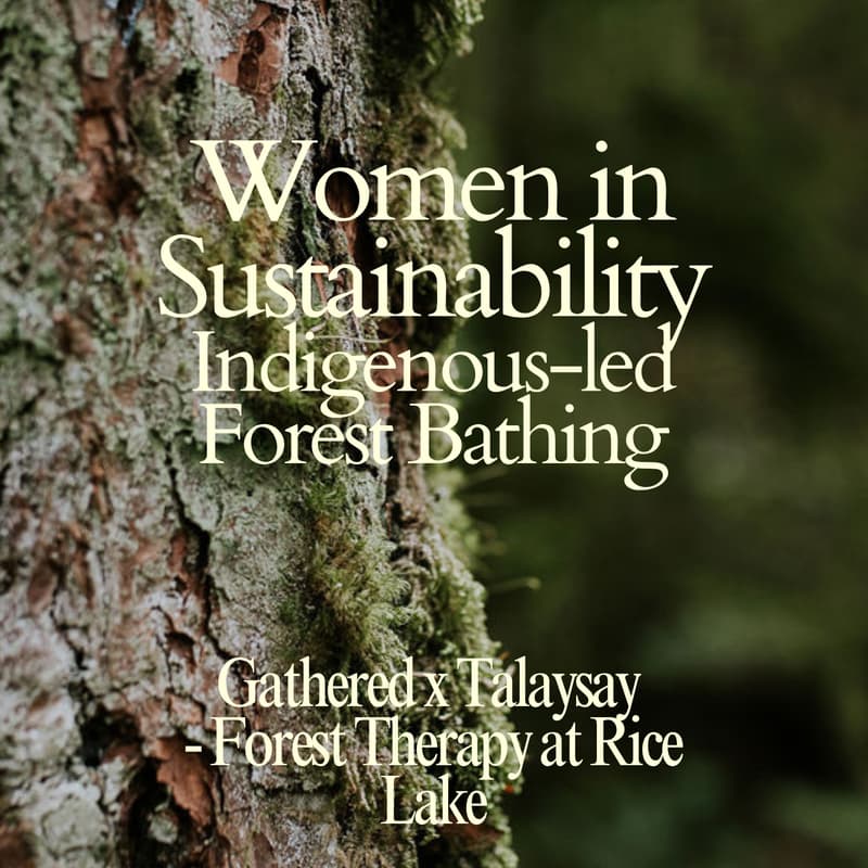 Cover Image for Gathered x Talaysay | Forest Therapy at Rice Lake