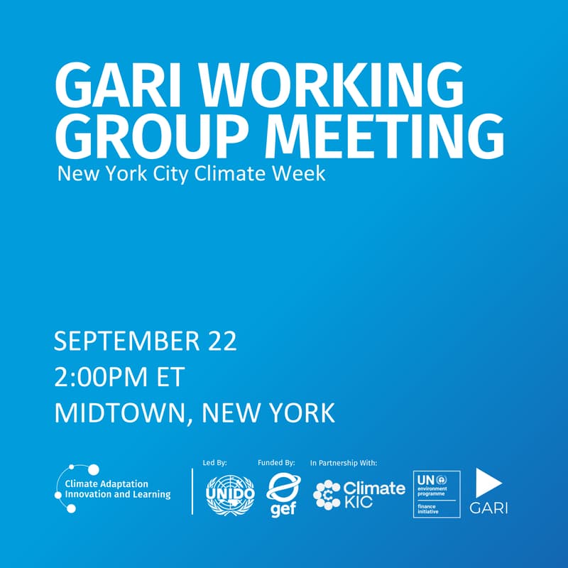 Cover Image for GARI Working Group Meeting