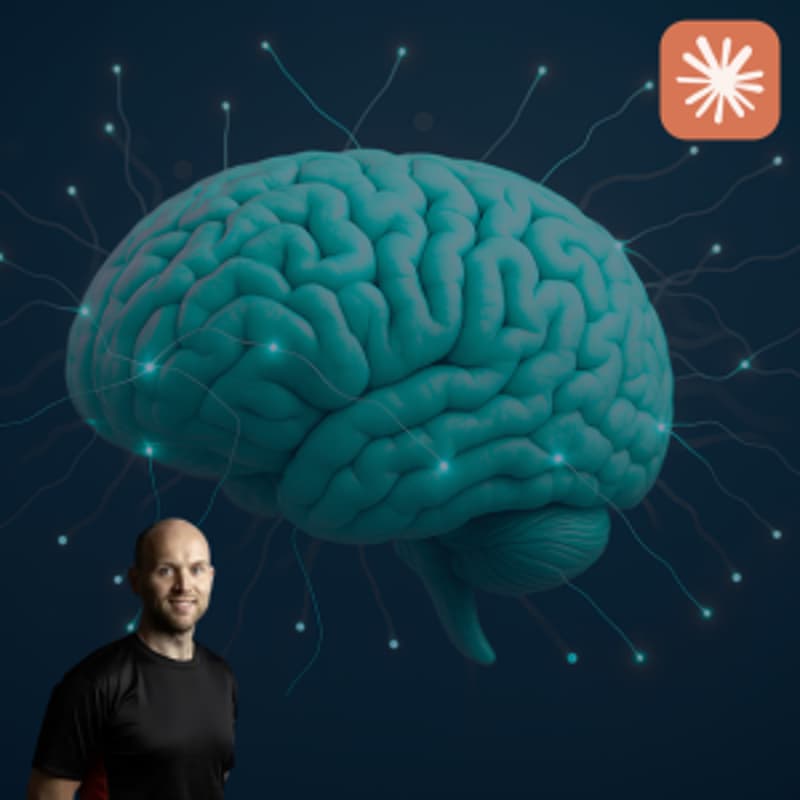 Cover Image for How to double your online fitness client capacity without losing your personal touch (the AI brain that powers my business)