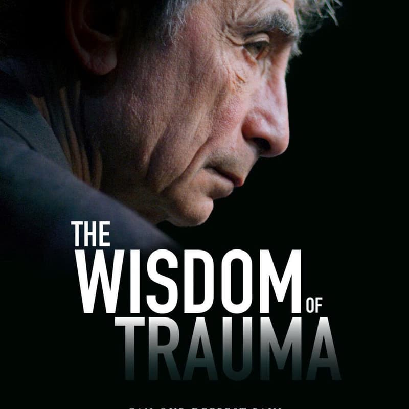 Cover Image for "The Wisdom of Trauma" – Một buổi tối ngồi lại, xem phim và lắng nghe nhau