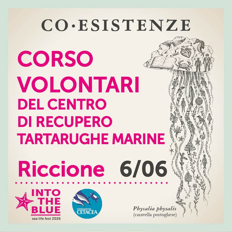 Cover Image for Corso volontari