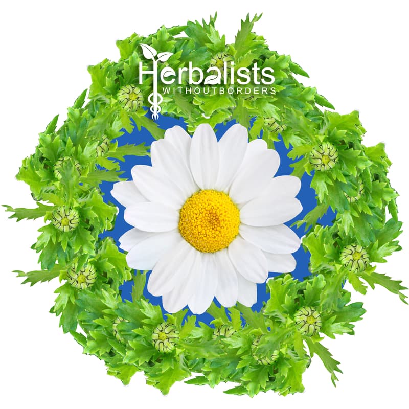 Cover Image for A Cup Of Tea With HWB: UK