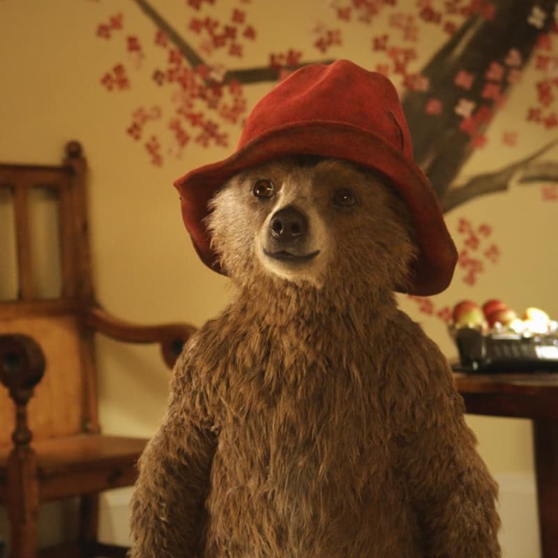 Cover Image for Ciclo de cine: Paddington