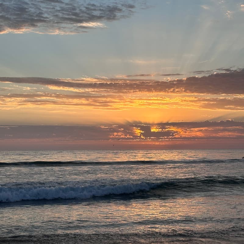 Cover Image for Beach, Breathe, and A Bite to Eat