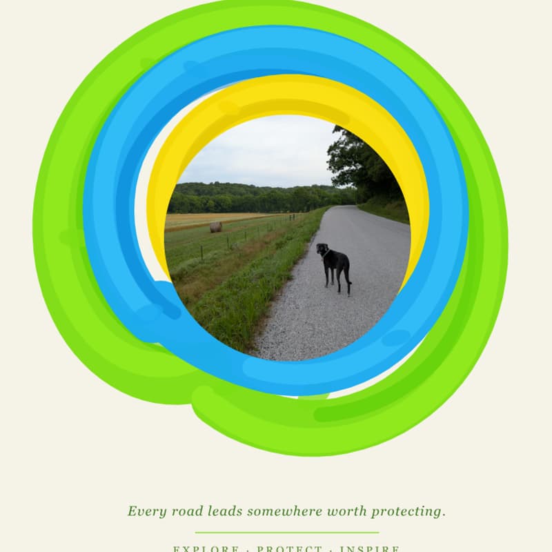 Cover Image for Clean-up: Roundhouse Road, Crane MO