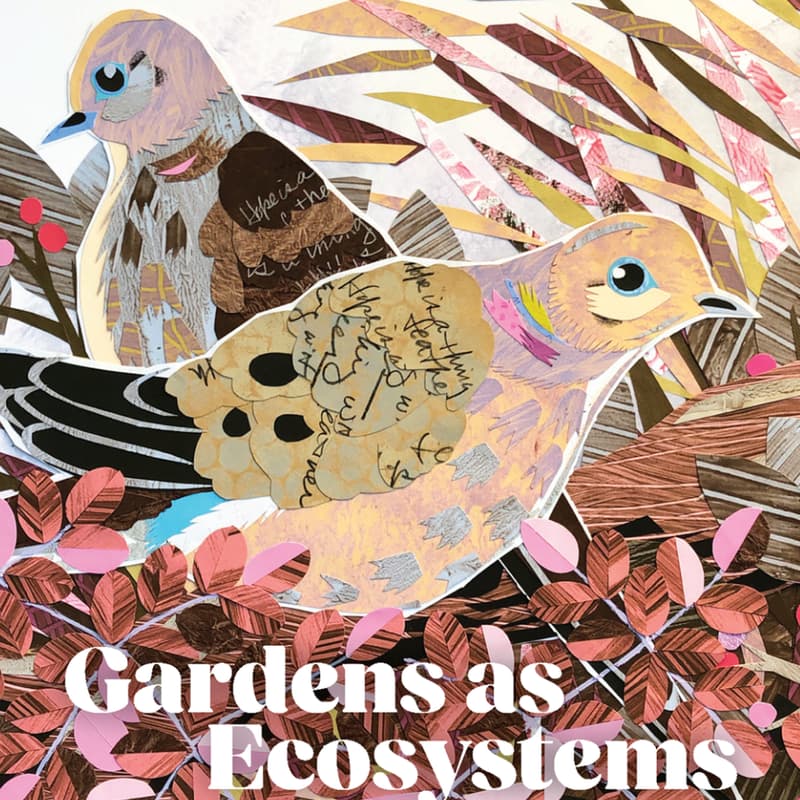 Cover Image for EcoAction Cards Creativity Space