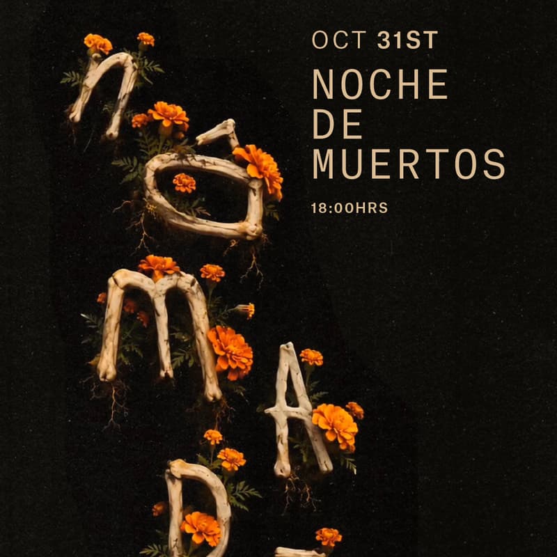 Cover Image for Noche de Muertos x Nômade Holbox