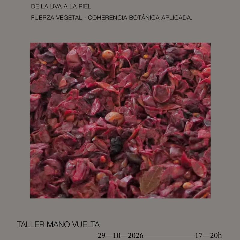Cover Image for De la uva a la piel