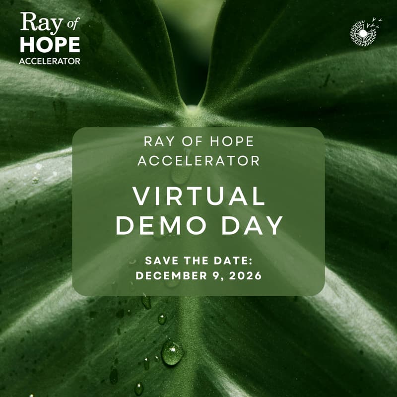 Cover Image for Ray of Hope Accelerator Demo Day