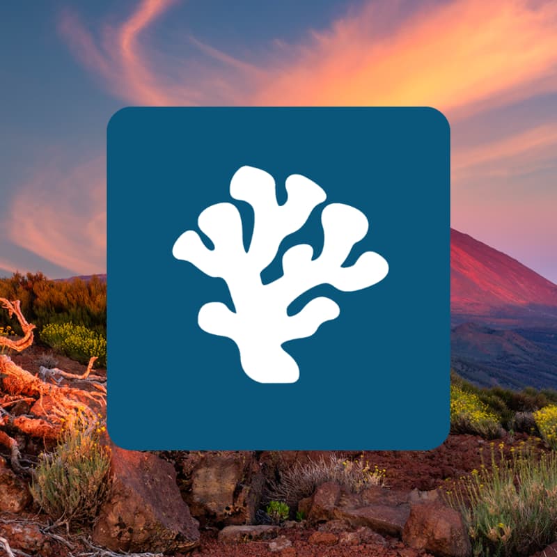 Cover Image for Tenerife <> Reefing Project