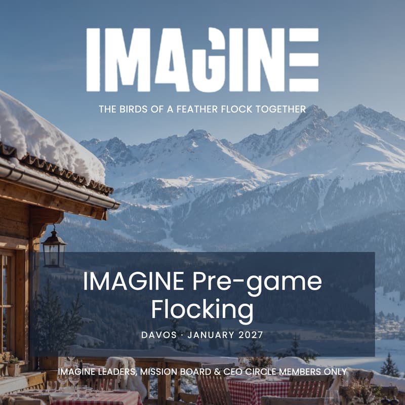 Cover Image for IMAGINE Pre-game Flocking | Davos