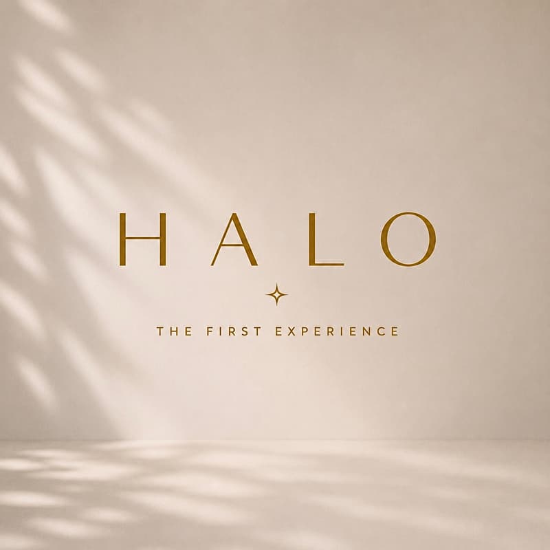 Cover Image for HALO: The First Experience