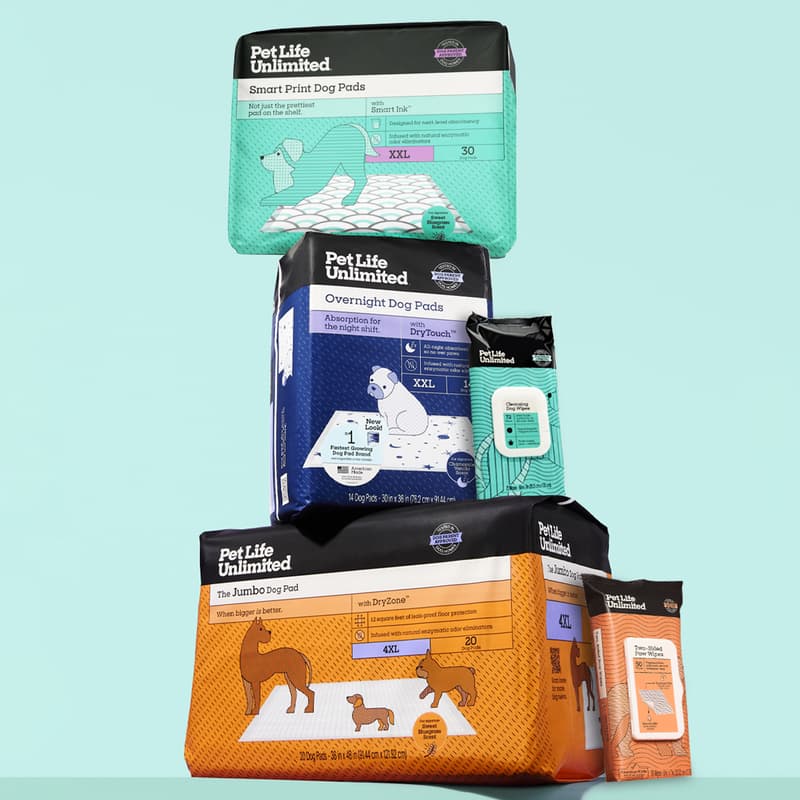 Cover Image for Pet Life Unlimited NYC Pack Walk 🐾