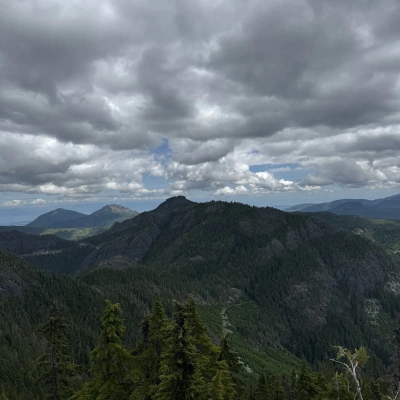 Cover Image for Mount Whymper