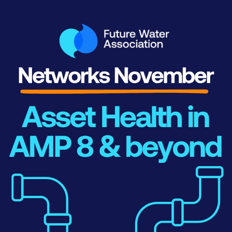 Cover Image for Networks November: Asset Health in AMP8 & Beyond