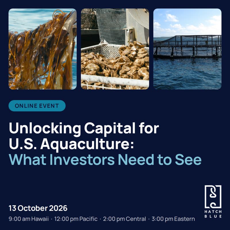 Cover Image for Unlocking Capital for U.S. Aquaculture: What Investors Need to See