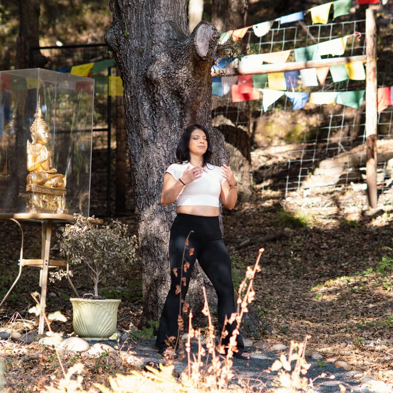 Cover Image for Qigong for Fall Season