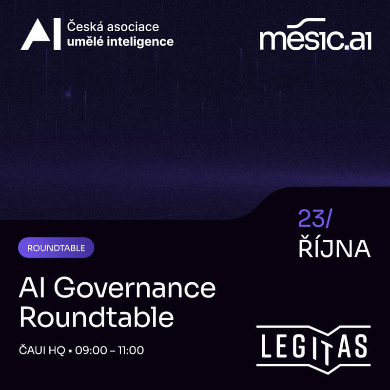 Cover Image for AI Governance Roundtable
