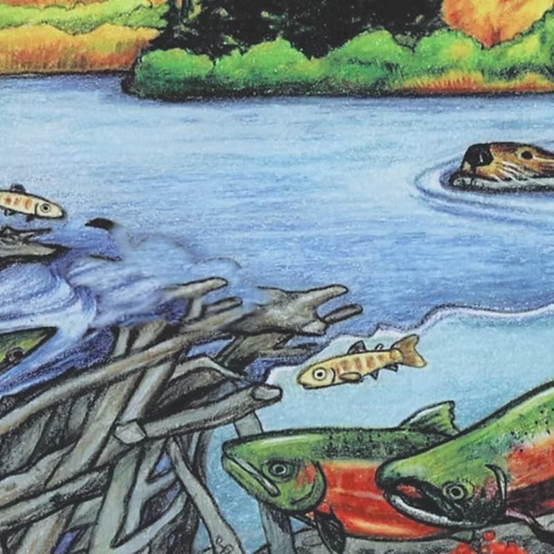 Cover Image for A Visit with Salmon & Beaver