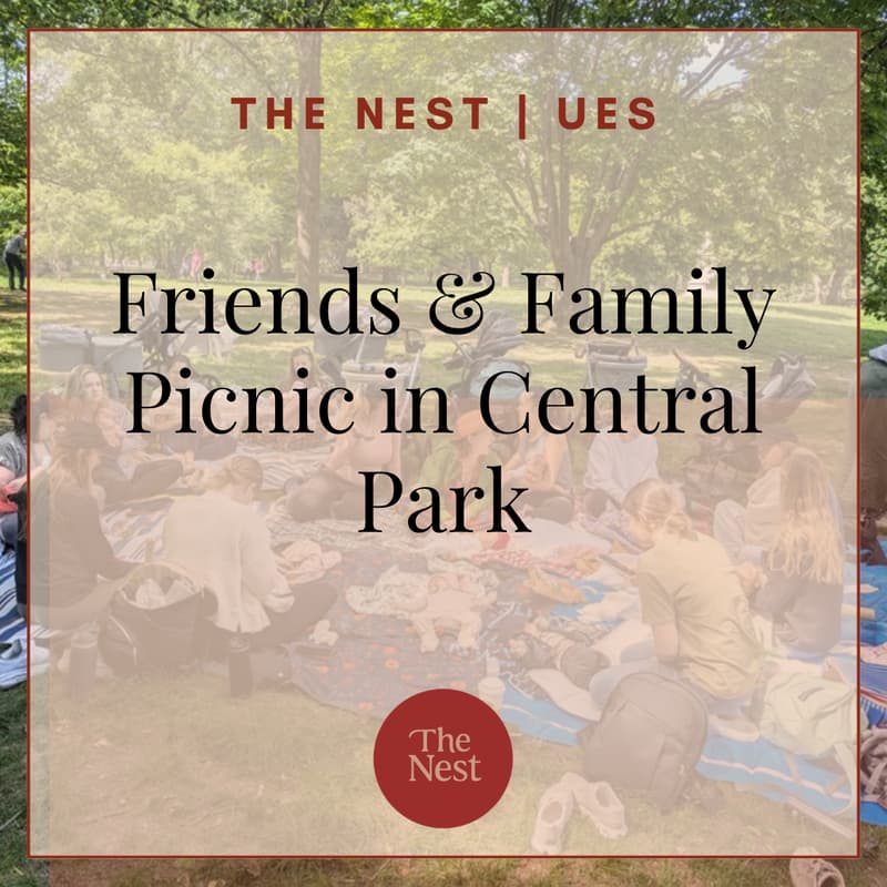 Cover Image for Friends & Family Picnic in Central Park | The Nest UES