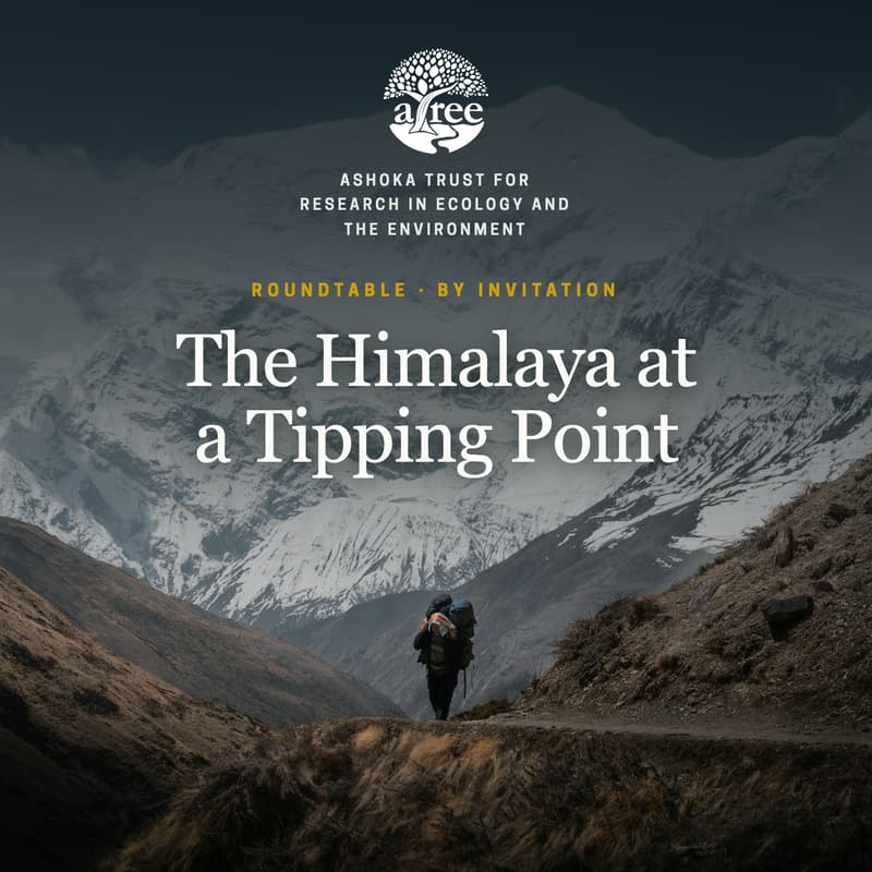 Cover Image for The Himalaya at a Tipping Point: A Roundtable on Collective Action