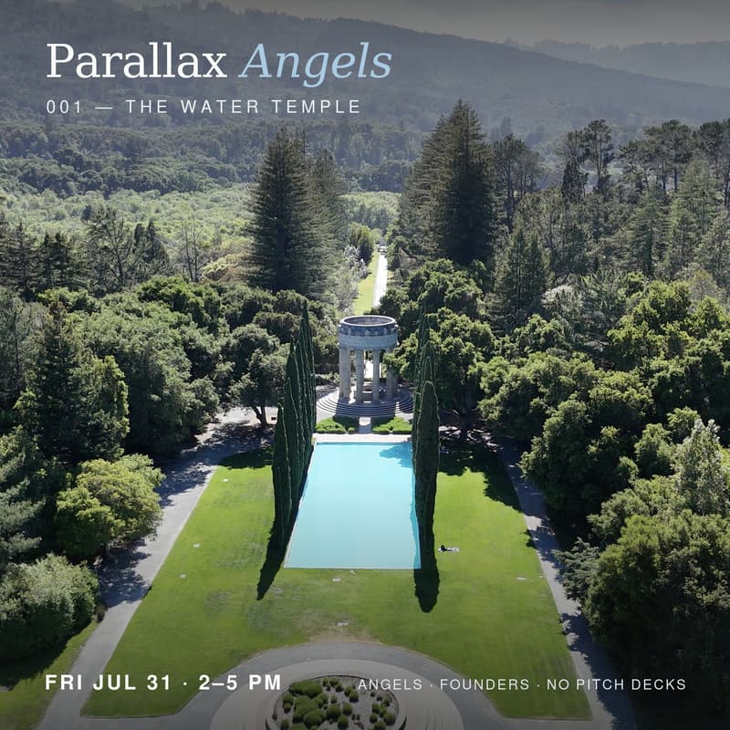 Cover Image for Parallax Angels 001 — An Afternoon at the Water Temple