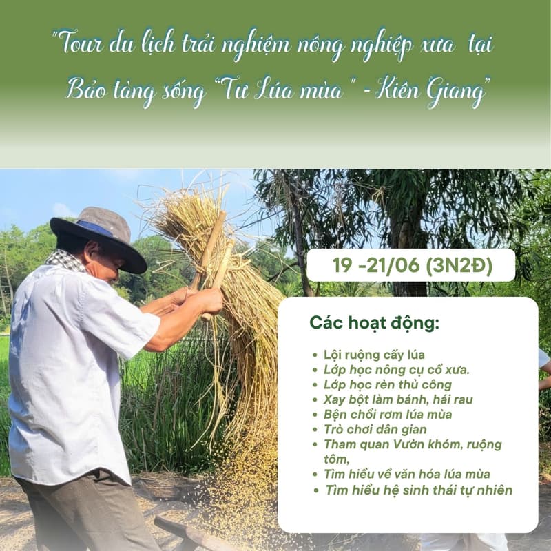 Cover Image for CHƯƠNG TRÌNH TRẢI NGHIỆM: KÝ ỨC LÚA MÙA TẠI KIÊN GIANG CÙNG GO LIVE LOVE