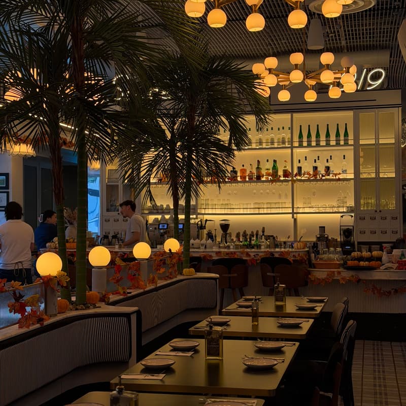 Cover Image for Backgammon at Cafe Landwer