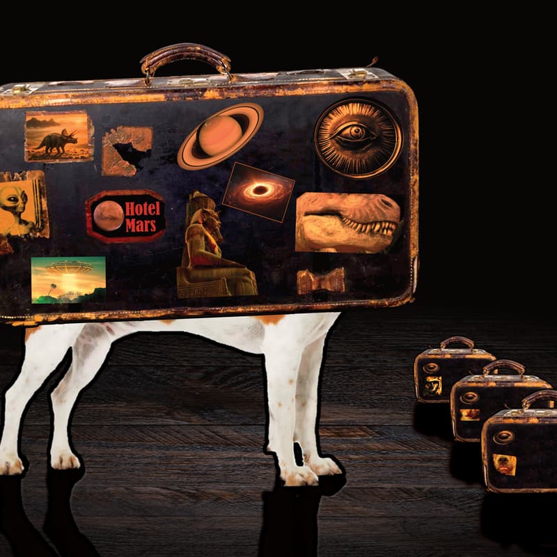 Cover Image for The Curious Case Full of Curious Cases - the improvised play + pre-show mingle