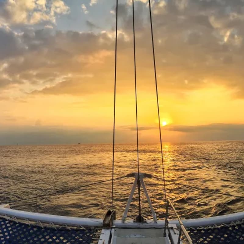 Cover Image for Sunset Sail: A Bluetech & Ocean Conservation Send-Off to Summer