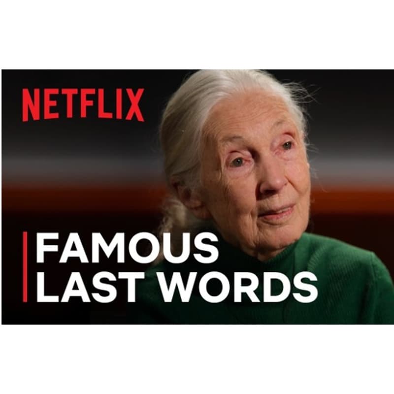 Cover Image for #LCAW2026 Famous Last Words: Dr Jane Goodall - Documentary Dialogue & Reflections