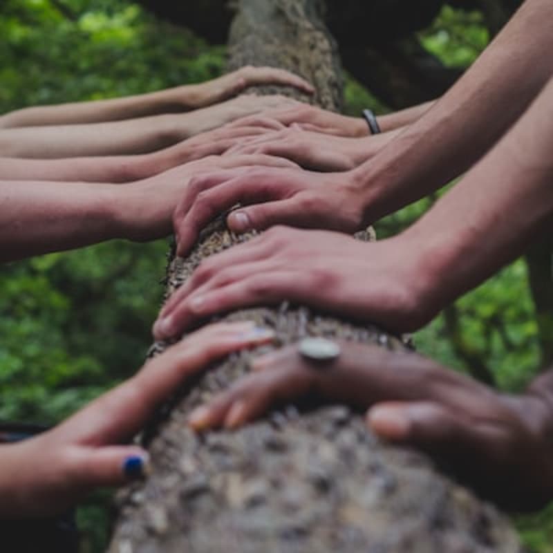 Cover Image for August Community Session (Option B)