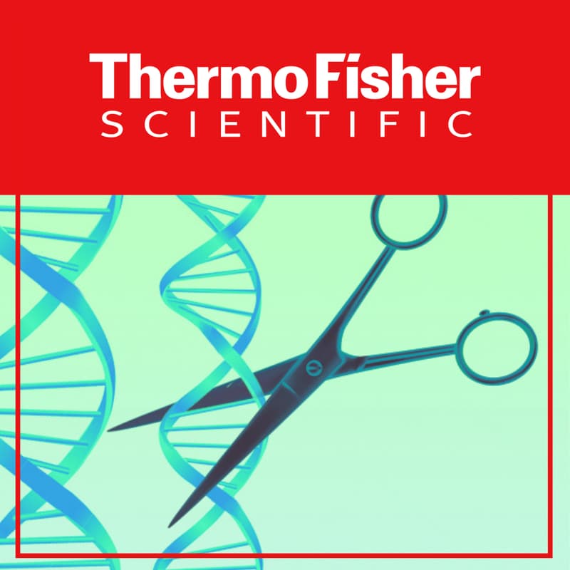 Cover Image for New Technologies Seminar - Lipid Nanoparticle and CRISPR/siRNA Libraries