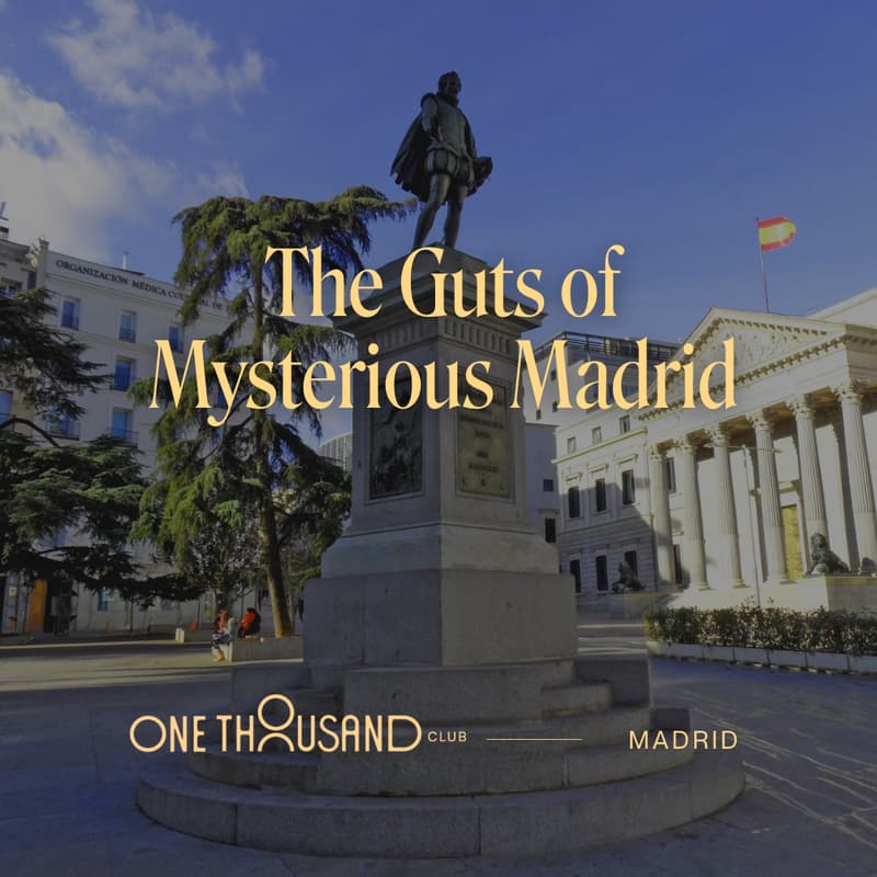 Cover Image for The Guts of Mysterious Madrid