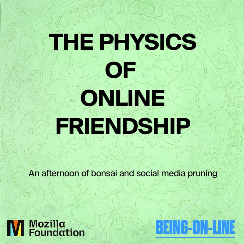 Cover Image for The Physics of Online Friendship