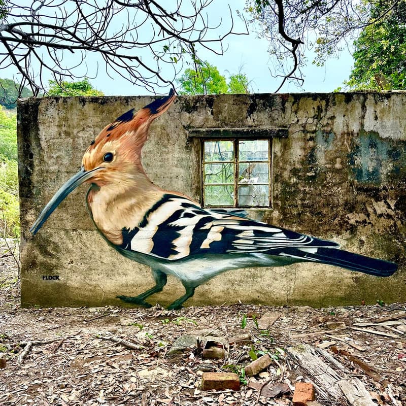 Cover Image for Walk Your Way: Flock Bird Mural Exploration supported by Bupa