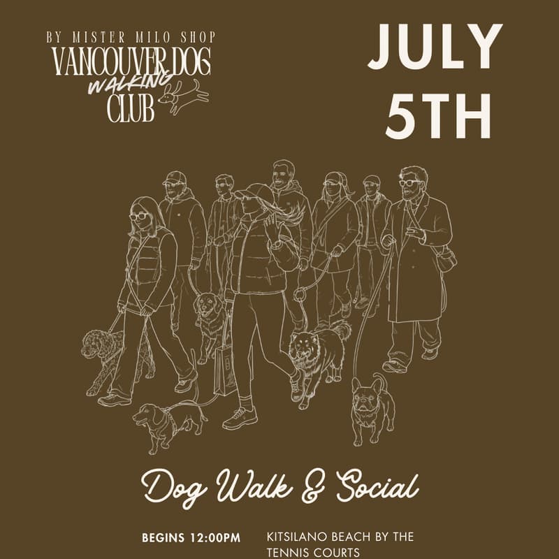 Cover Image for Dog Walk & Social