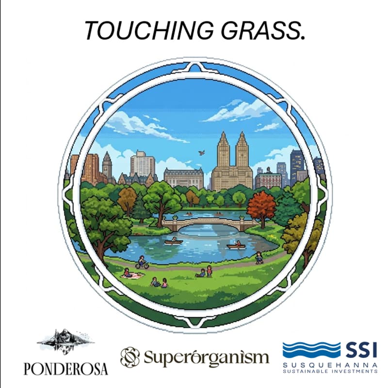 Cover Image for Touching Grass.