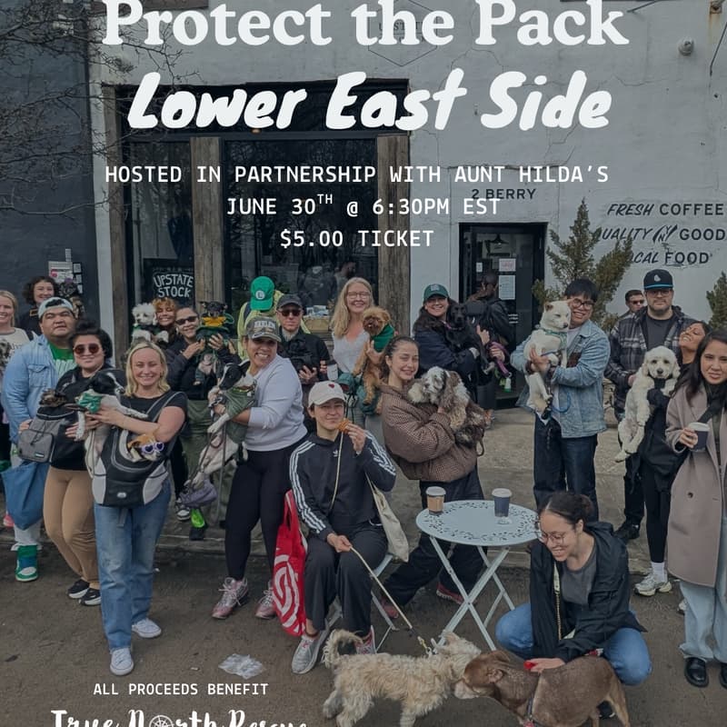 Cover Image for Protect the Pack x Aunt Hilda Lower East Side Dog Walk
