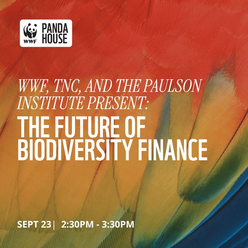 Cover Image for The Future of Biodiversity Finance