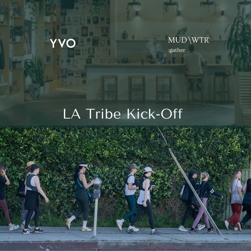 Cover Image for Kicking Off YVO LA