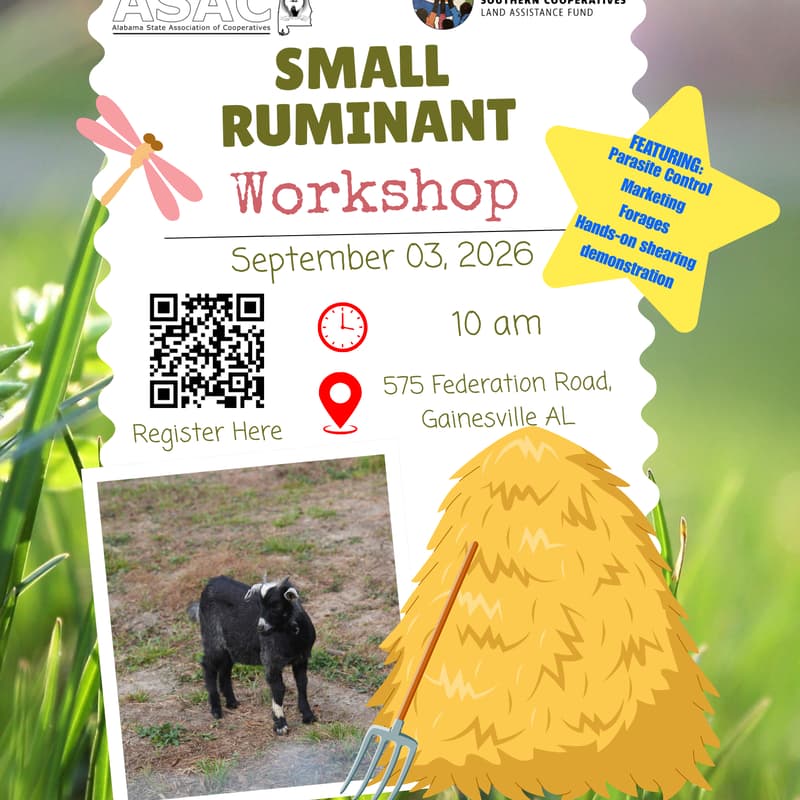 Cover Image for Ruminant Workshop