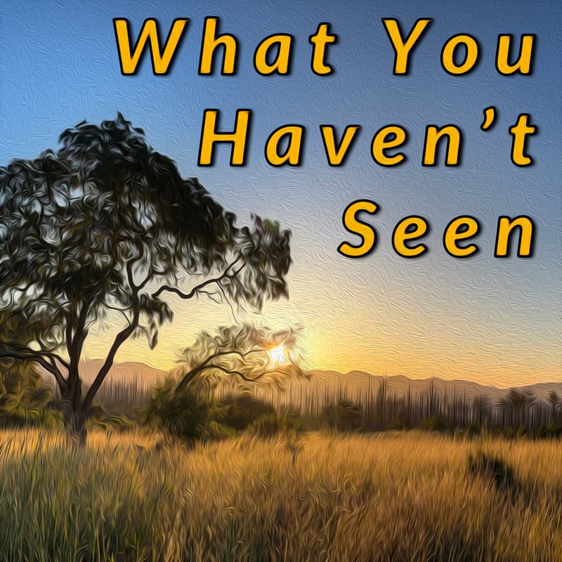 Cover Image for What's in YOUR Back Yard?