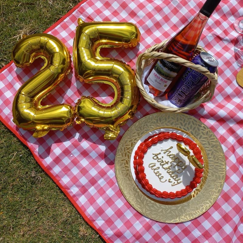 Cover Image for Varda’s 25th Birthday Picnic