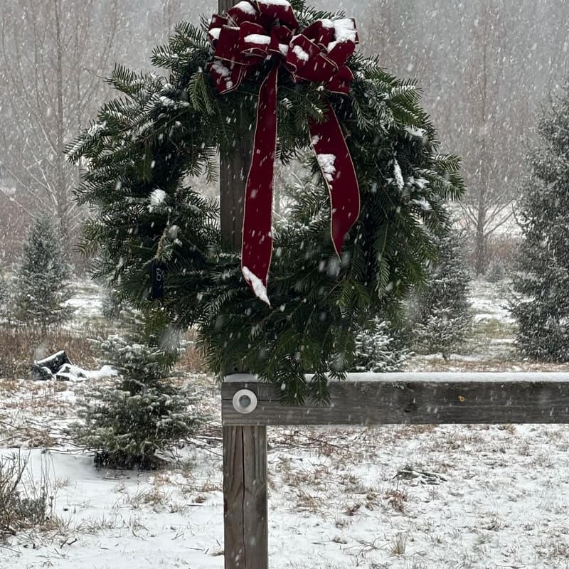 Cover Image for Wreath Making Workshop